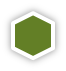 Green hexagon