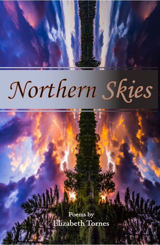 Cover of Northern Skies by Elizabeth Tornes